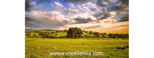 peace-with-Allah-