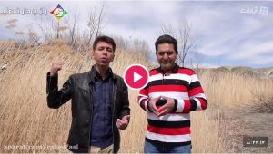ورشکستگی عاطفی یا مالی