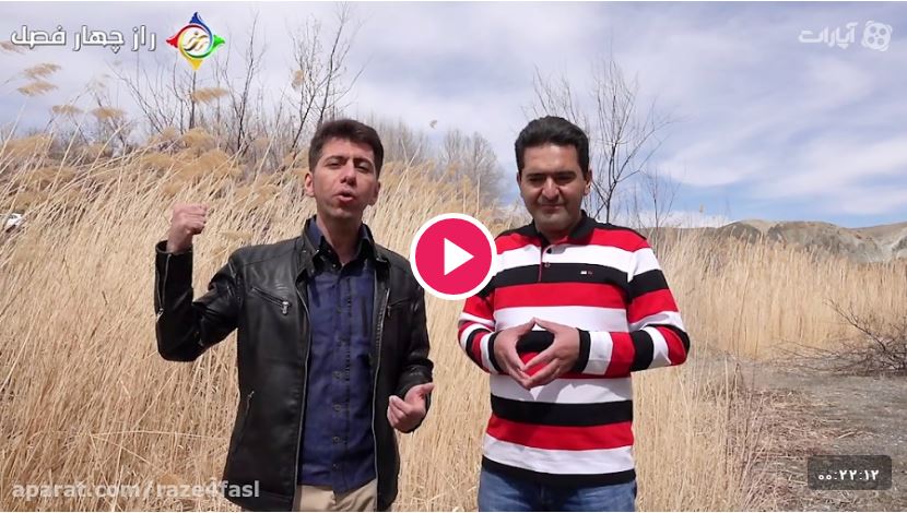 ورشکستگی عاطفی یا مالی