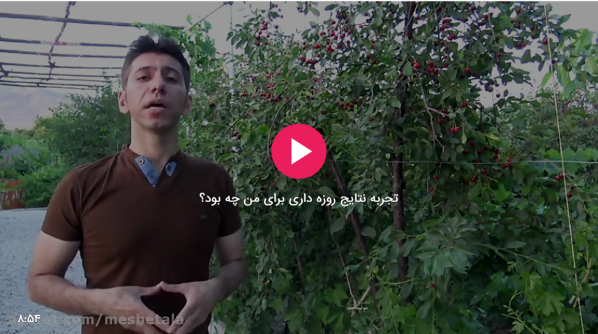 تجربیات-من-از-روزه-داری-در-ماه-مبارک-رمض