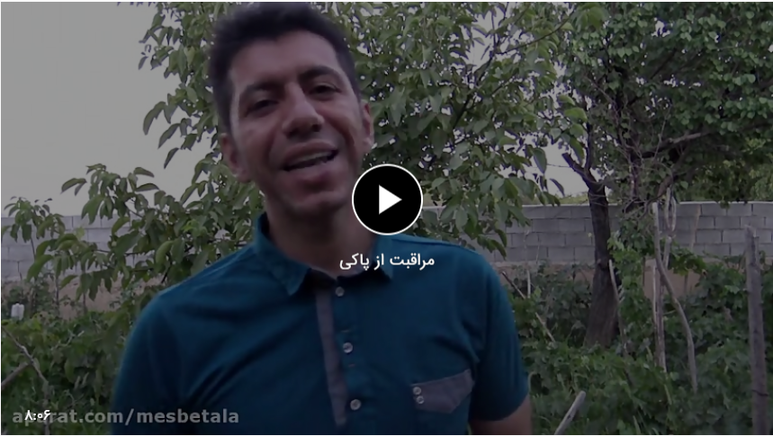 مراقبت از پاکی