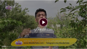بترس و بلرز و اقدام کن