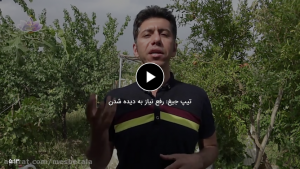 تیپ جیغ و نیاز به دیده شدن