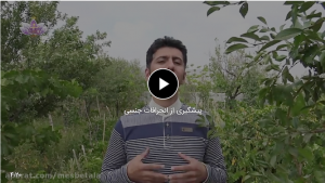پیشگیری از انحرافات جنسی