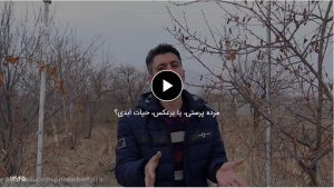 مرده پرستی، یا برعکس، حیات ابدی؟
