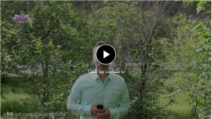 با حسادت چه کنیم؟