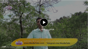 فداکاری در رابطه راز دلبری