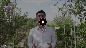 زن خانه دار