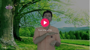 زندگی ساده ست