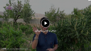 سیاهی و نحسی روسپیگری