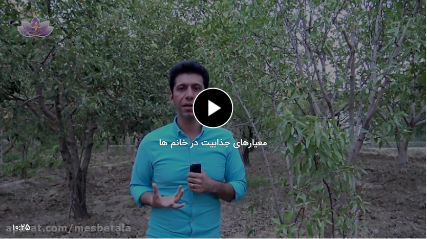 معیارهای جذابیت در خانم ها